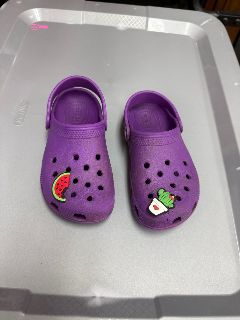 Kids Purple Crocs with Fun Charms